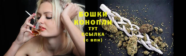 spice Вязники