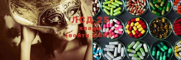 ГАЛЛЮЦИНОГЕННЫЕ ГРИБЫ Мамадыш