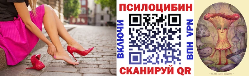 дарнет шоп  Порхов  мега ССЫЛКА  Галлюциногенные грибы Cubensis 